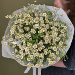Букет Ромашек